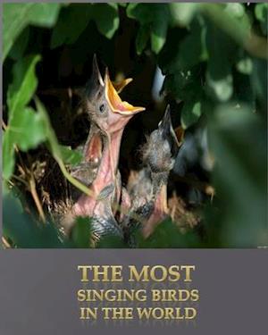 The most singing birds in the world