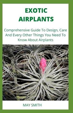 Exotic Airplants