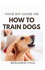 Your DIY Guide On How To Train Dogs