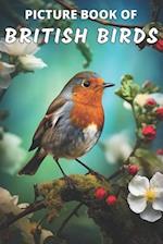 Picture Book of British Birds