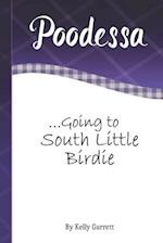 Going to South Little Birdie