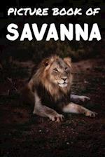 Picture book of Savanna