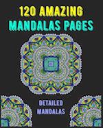 120 Amazing Mandalas Pages