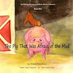 The Pig That Was Afraid of the Mud