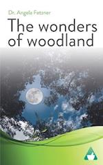 The wonders of woodland