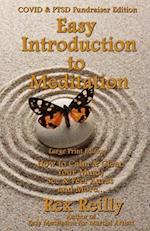 Easy Introduction to Meditation