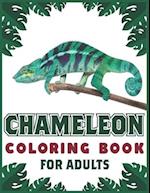 Chameleon Coloring Book For Adults