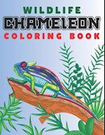 Wildlife Chameleon Coloring Book