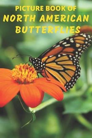 Picture Book of North American Butterflies