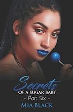 Secrets Of A Sugar Baby 6