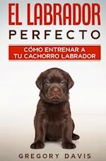 El Labrador Perfecto