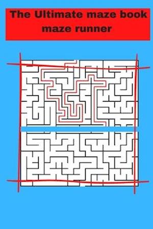 The Ultimate maze book maze runner