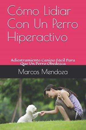 Cómo Lidiar Con Un Perro Hiperactivo