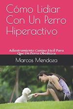 Cómo Lidiar Con Un Perro Hiperactivo