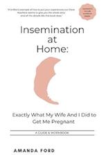 Insemination At Home: Exactly What My Wife And I Did to Get Me Pregnant 