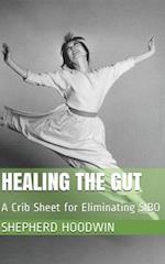 Healing the Gut: A Crib Sheet for Eliminating SIBO 