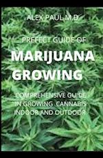 Prefect Guide of Marijuana Growing