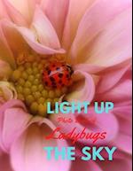 Light Up the Sky Photo Book of Ladybugs