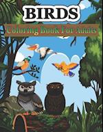 Birds Coloring Book for Adults