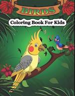 Birds Coloring Book for Kids