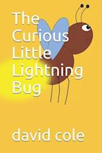The Curious Little Lightning Bug