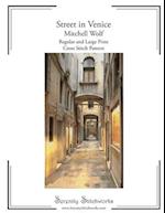 Street in Venice Cross Stitch Pattern - Mitchell Wolf: Regular and Large Print Cross Stitch Pattern 