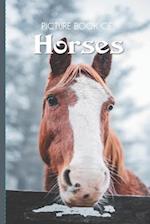 Picture Book Of Horses
