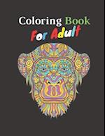 Coloring Boook For Adult