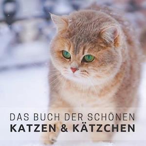 Das Buch der schönen Katzen und Kätzchen