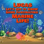 Lucas Let's Get to Know Some Fascinating Marine Life!