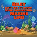 Riley Let's Get to Know Some Fascinating Marine Life!