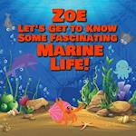 Zoe Let's Get to Know Some Fascinating Marine Life!