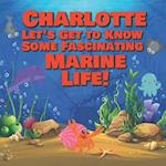 Charlotte Let's Get to Know Some Fascinating Marine Life!