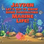 Jayden Let's Get to Know Some Fascinating Marine Life!