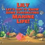 Lily Let's Get to Know Some Fascinating Marine Life!