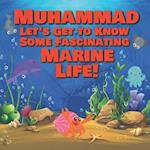 Muhammad Let's Get to Know Some Fascinating Marine Life!