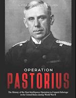 Operation Pastorius