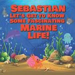 Sebastian Let's Get to Know Some Fascinating Marine Life!