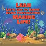 Leah Let's Get to Know Some Fascinating Marine Life!