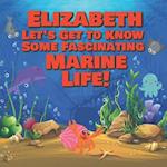 Elizabeth Let's Get to Know Some Fascinating Marine Life!