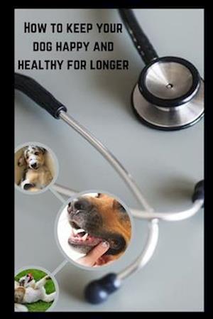 How to keep your dog happy & healthy for longer