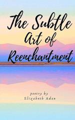 The Subtle Art of Reenchantment