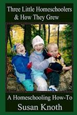 Three Little Homeschoolers & How They Grew