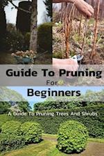 Guide To Pruning For Beginners