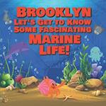 Brooklyn Let's Get to Know Some Fascinating Marine Life!