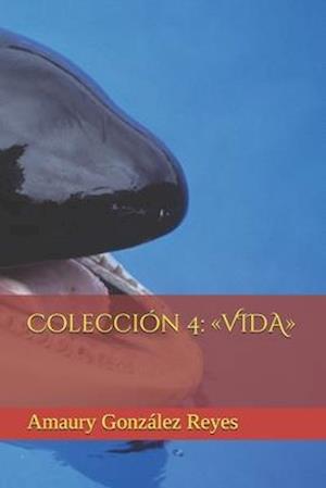 Colección 4