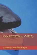 Colección 4