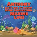 Anthony Let's Get to Know Some Fascinating Marine Life!