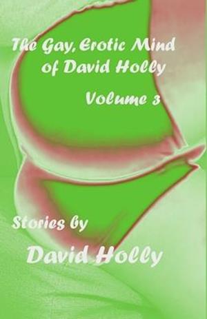 The Gay, Erotic Mind of David Holly, Volume 3