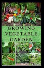 Growing Vegetable Garden